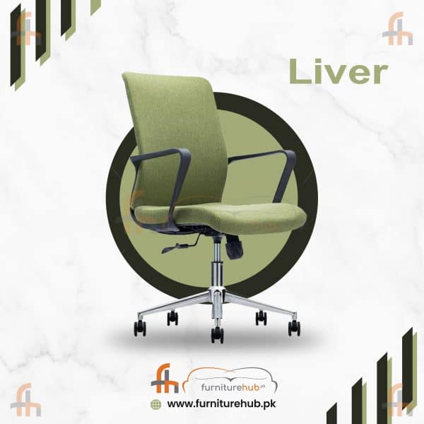 Liver Office Chair With Comfort Back Support On Sale At Furniturehub.Pk
