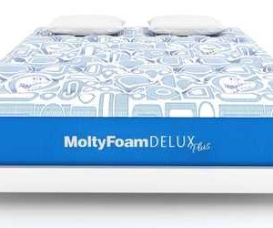 Molty Delux Plus King Size 78 72 11